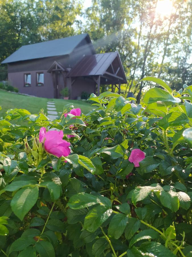 U Tomicku Hotell Paseky nad Jizerou Exteriör bild