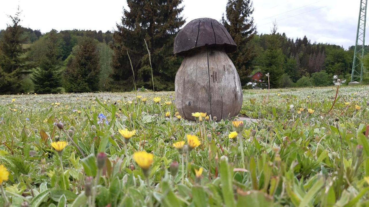 U Tomicku Hotell Paseky nad Jizerou Exteriör bild