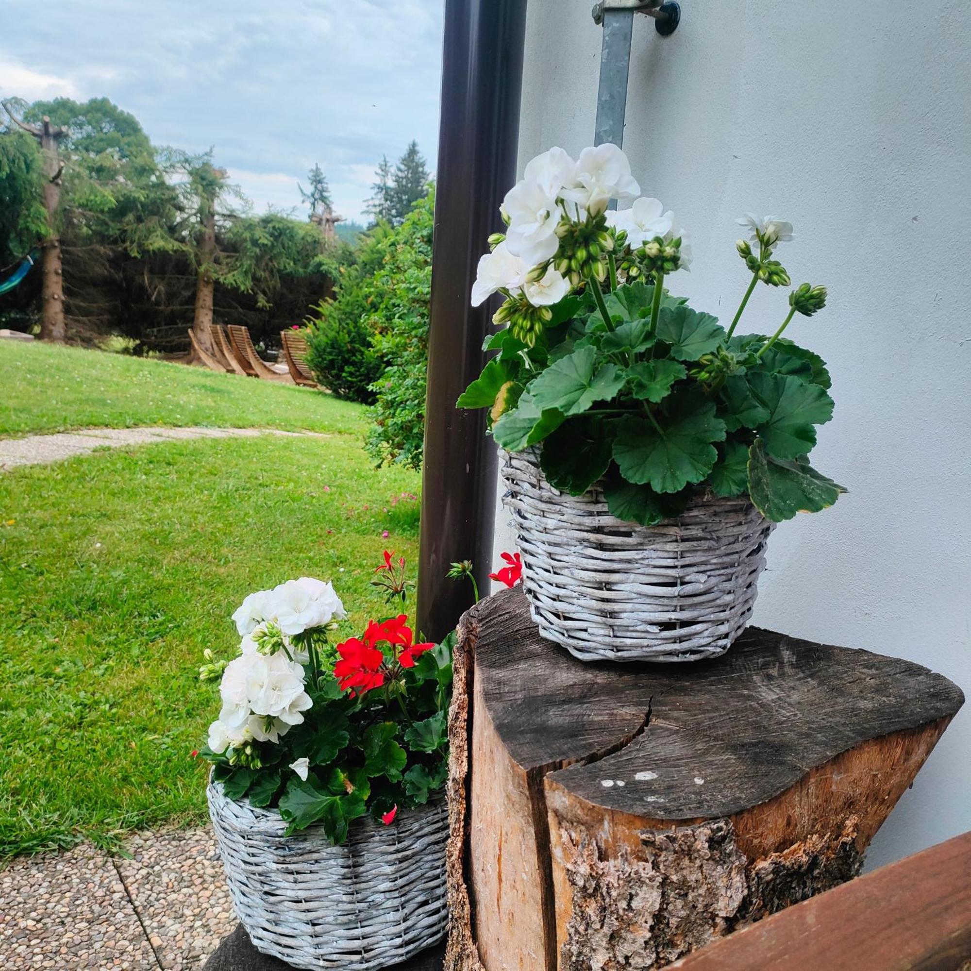 U Tomicku Hotell Paseky nad Jizerou Exteriör bild